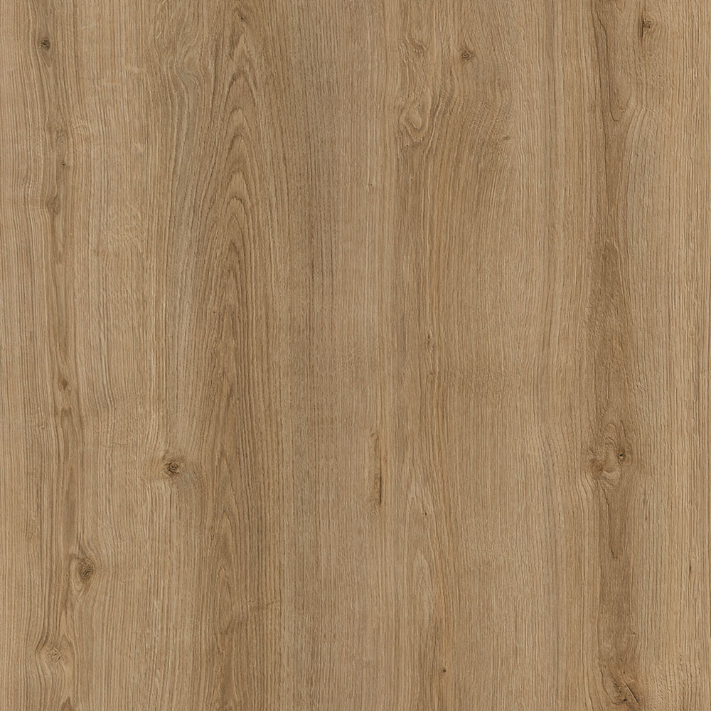 Oak Evoke Trend